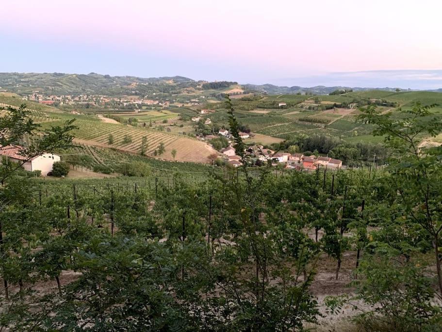 Apart-Agriturismo "La Colomba" ניצה מונפראטו מראה חיצוני תמונה